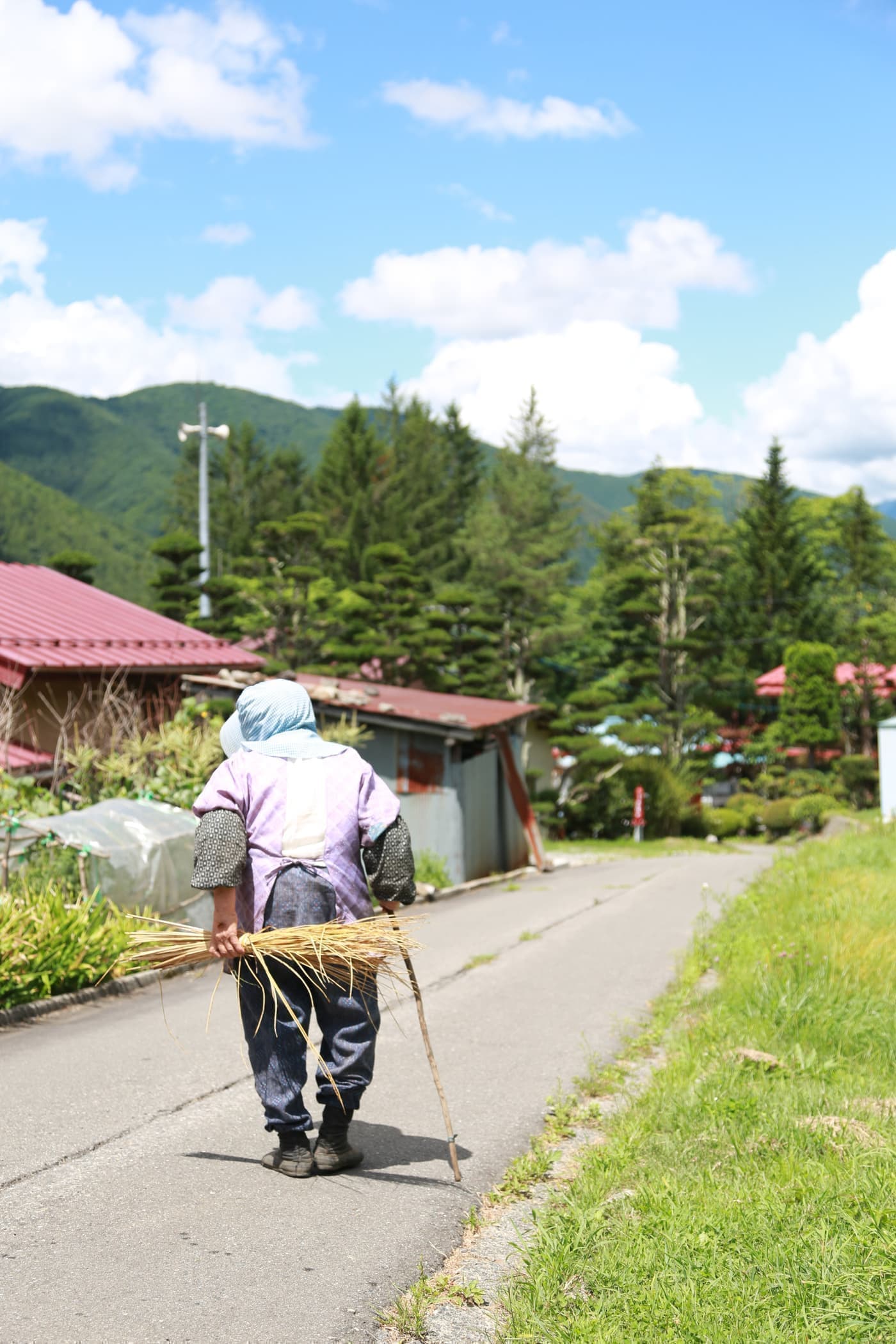 田舎の風景
