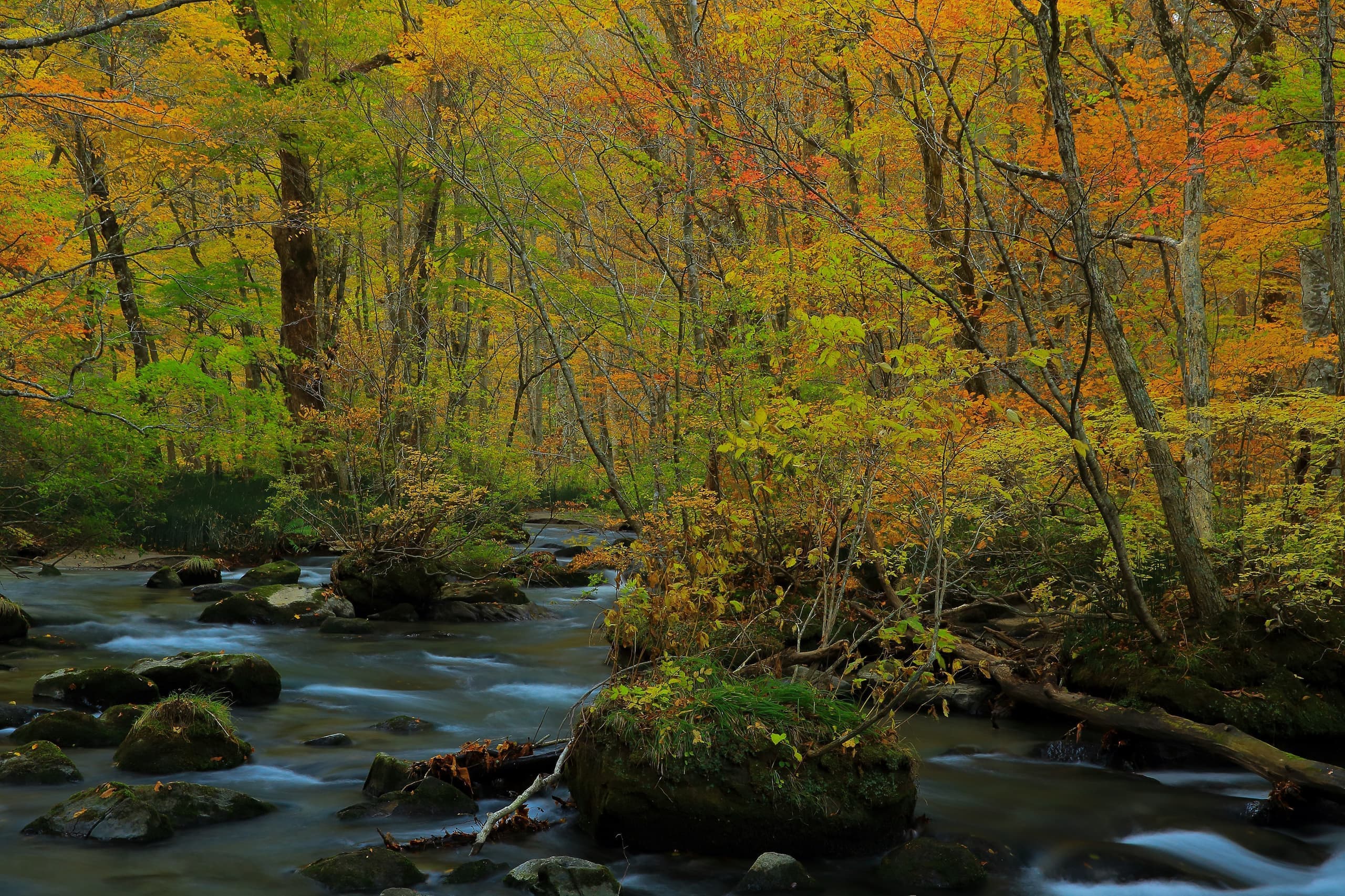 adobestock_125430639.jpg