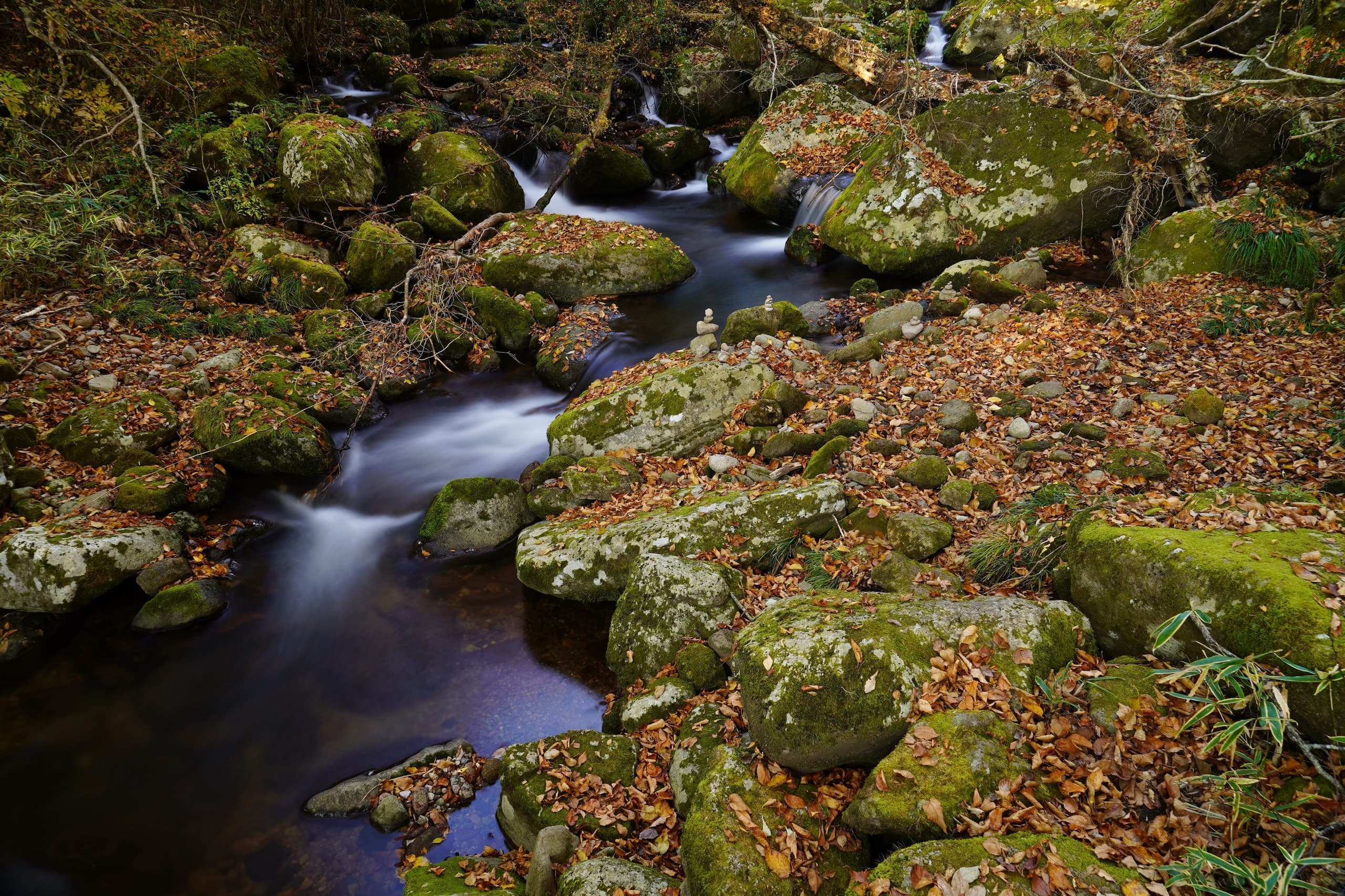 adobestock_231904132.jpg